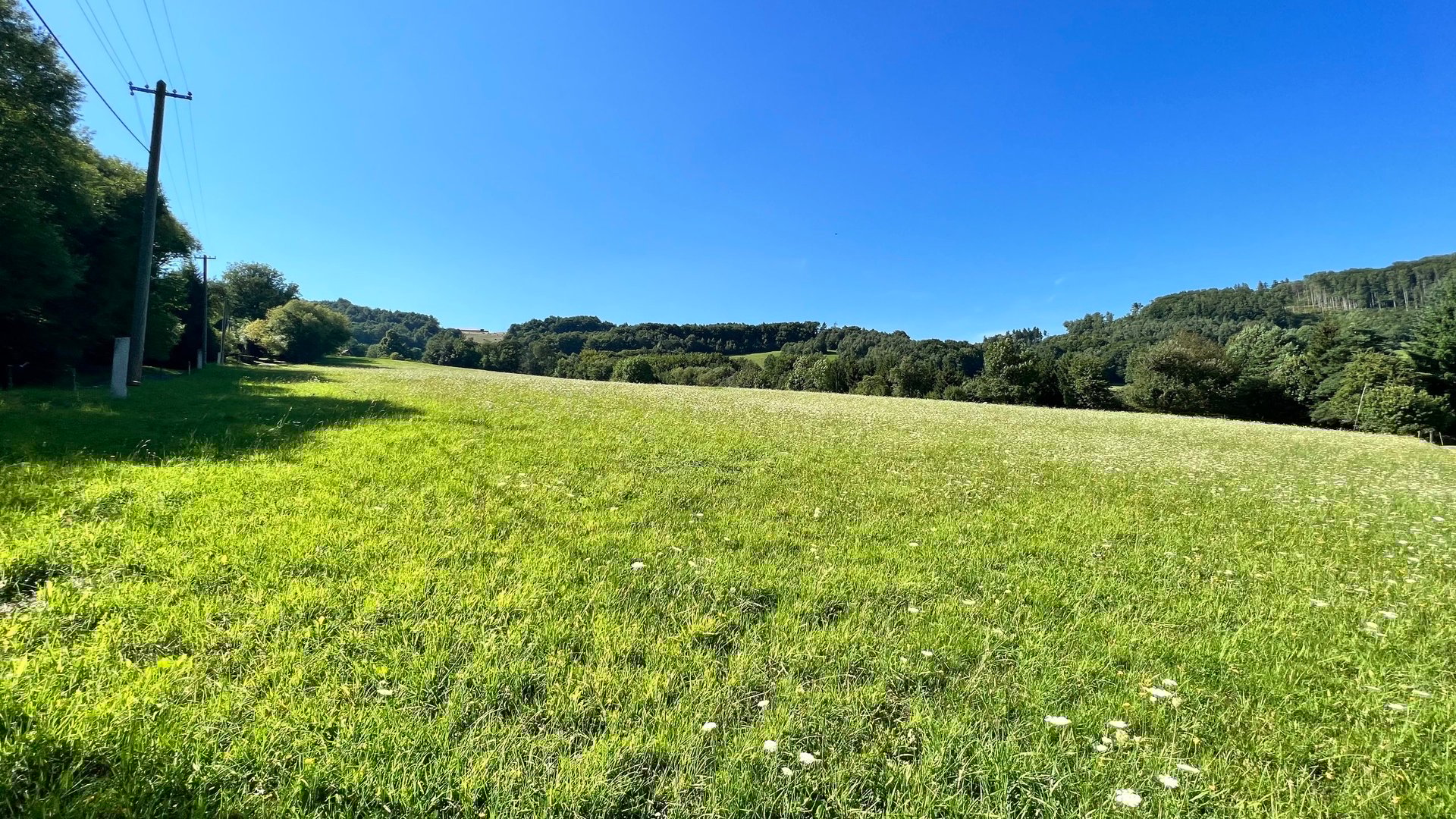 Prodej stavebního pozemku 5 950 m2, pastviny, lokalita Chmelinec, Vyškovec, Bílé Karpaty