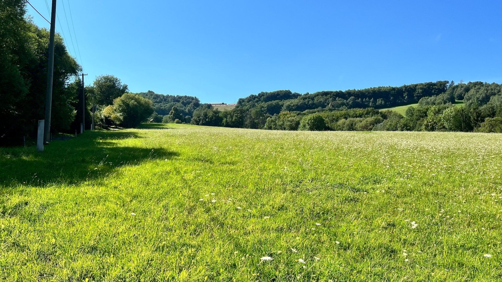 Prodej stavebního pozemku 5 950 m2, pastviny, lokalita Chmelinec, Vyškovec, Bílé Karpaty