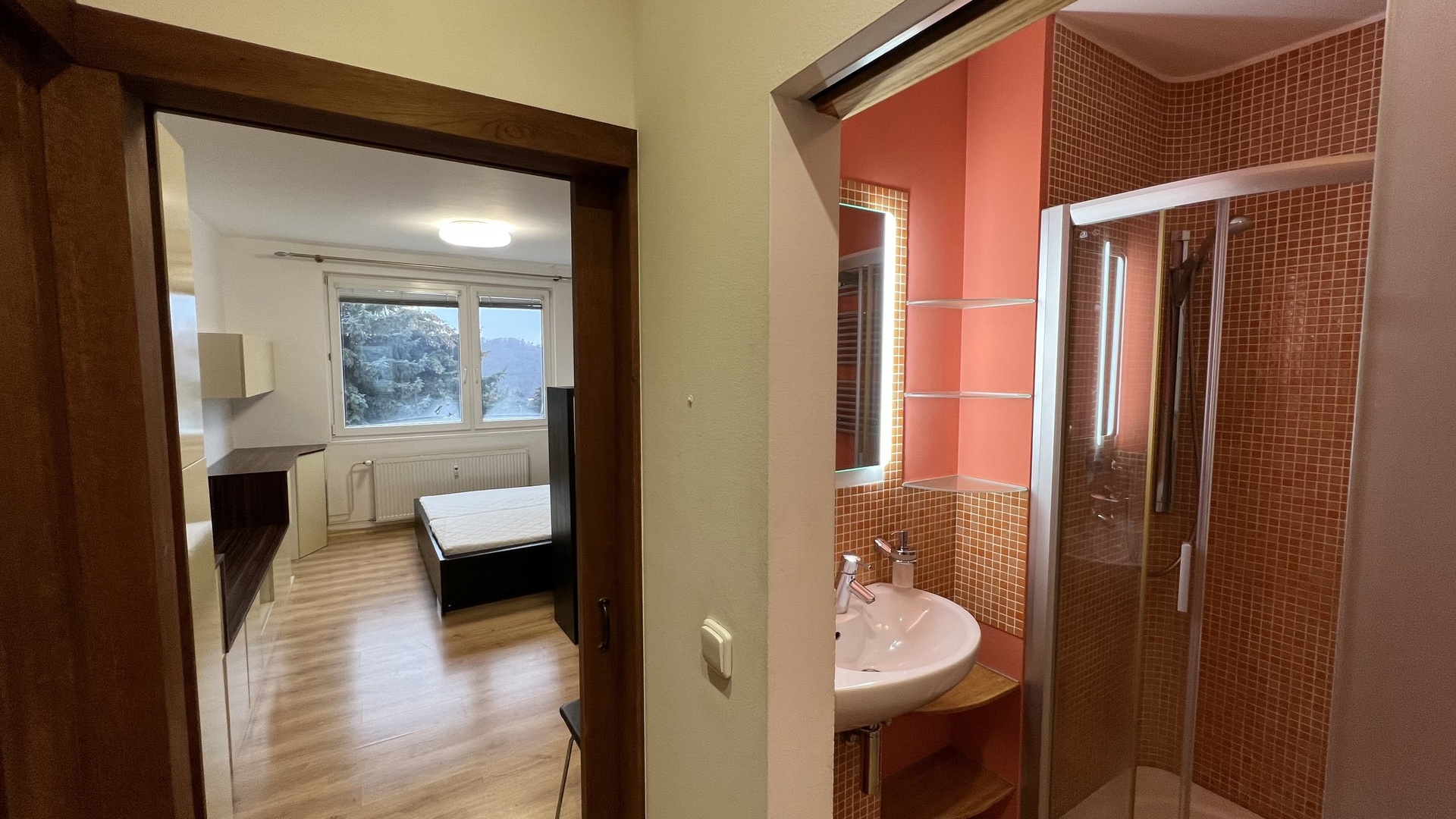 Pronájem bytu 1+1, 32 m2, garážové stání, sklep, Větrná Zlín