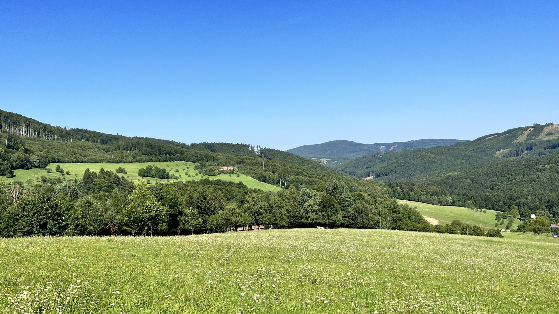 Prodej stavebního pozemku 5 950 m2, pastviny, lokalita Chmelinec, Vyškovec, Bílé Karpaty