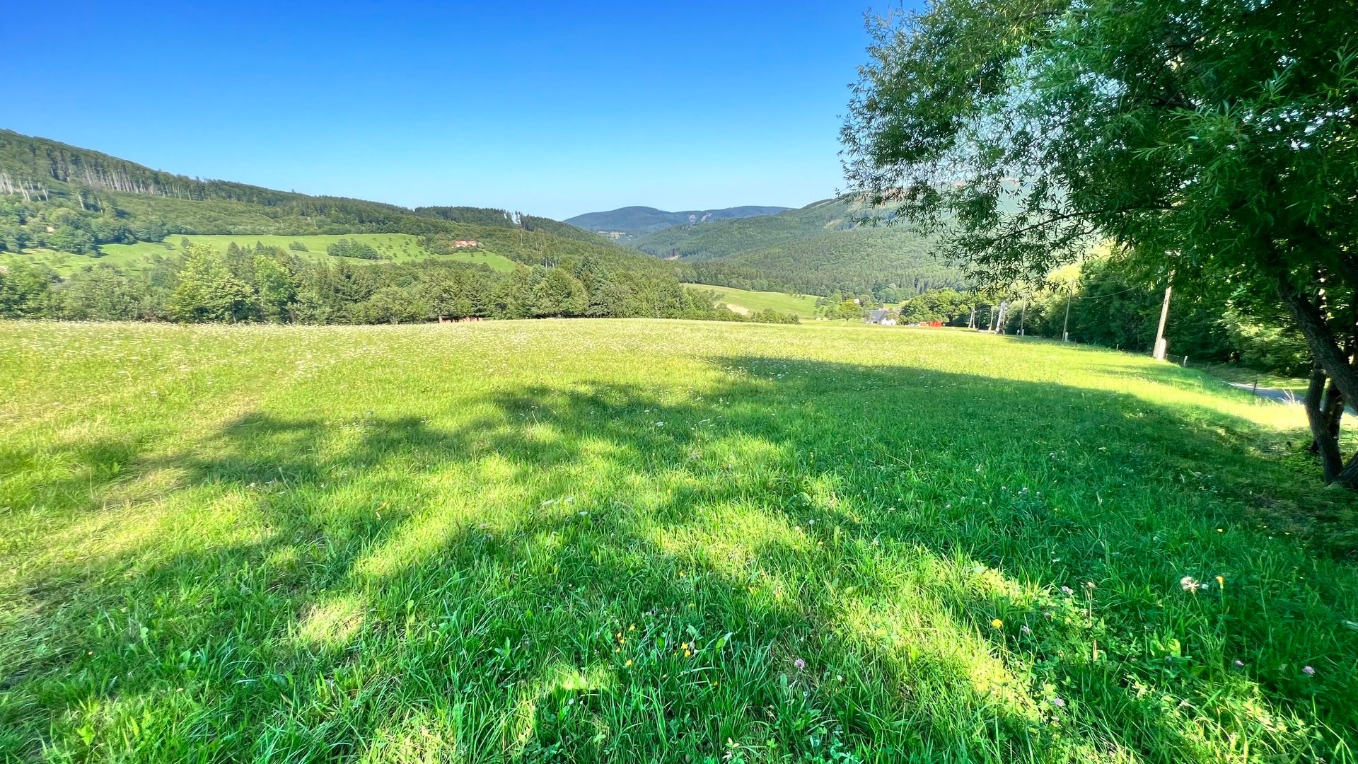 Prodej stavebního pozemku 5 950 m2, pastviny, lokalita Chmelinec, Vyškovec, Bílé Karpaty