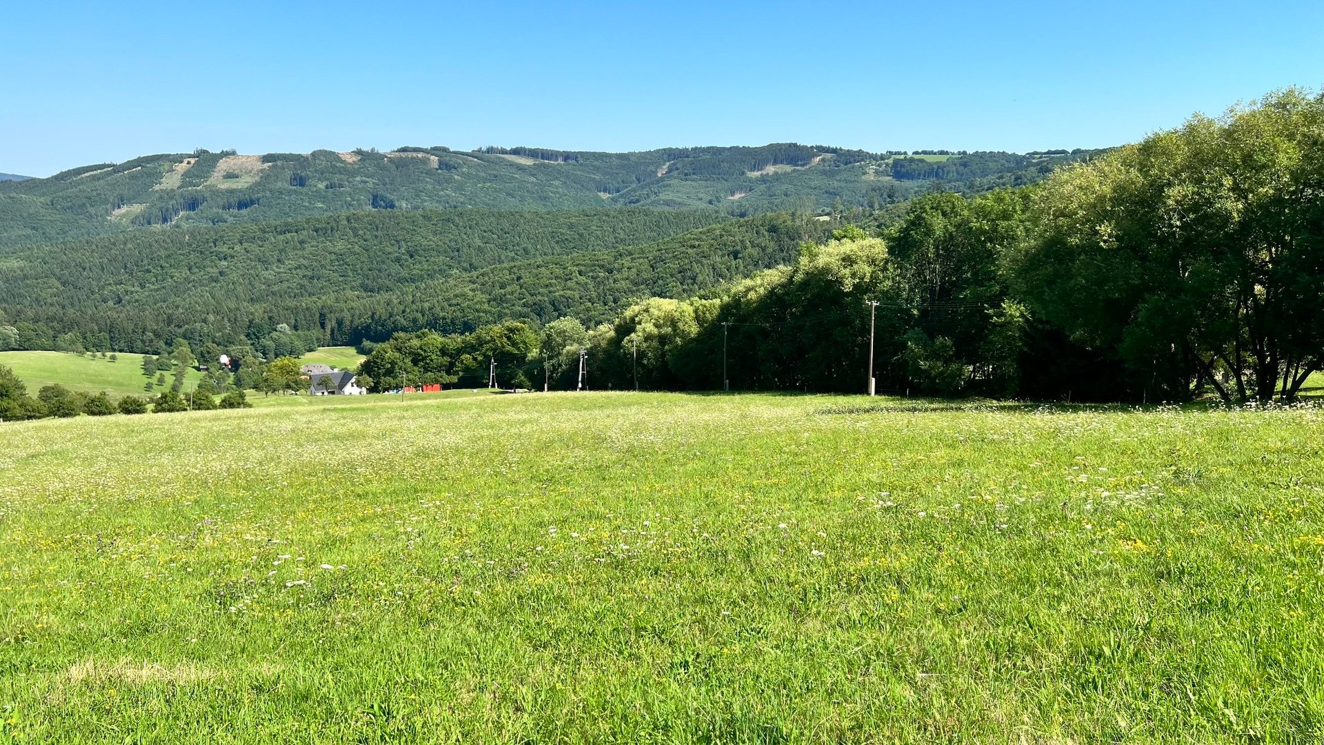 Prodej stavebního pozemku 5 950 m2, pastviny, lokalita Chmelinec, Vyškovec, Bílé Karpaty