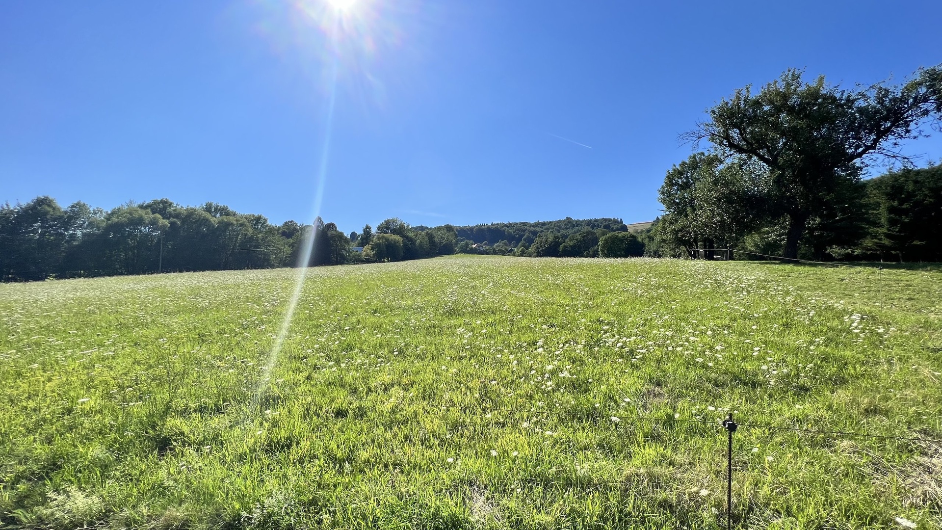 Prodej stavebního pozemku 5 950 m2, pastviny, lokalita Chmelinec, Vyškovec, Bílé Karpaty