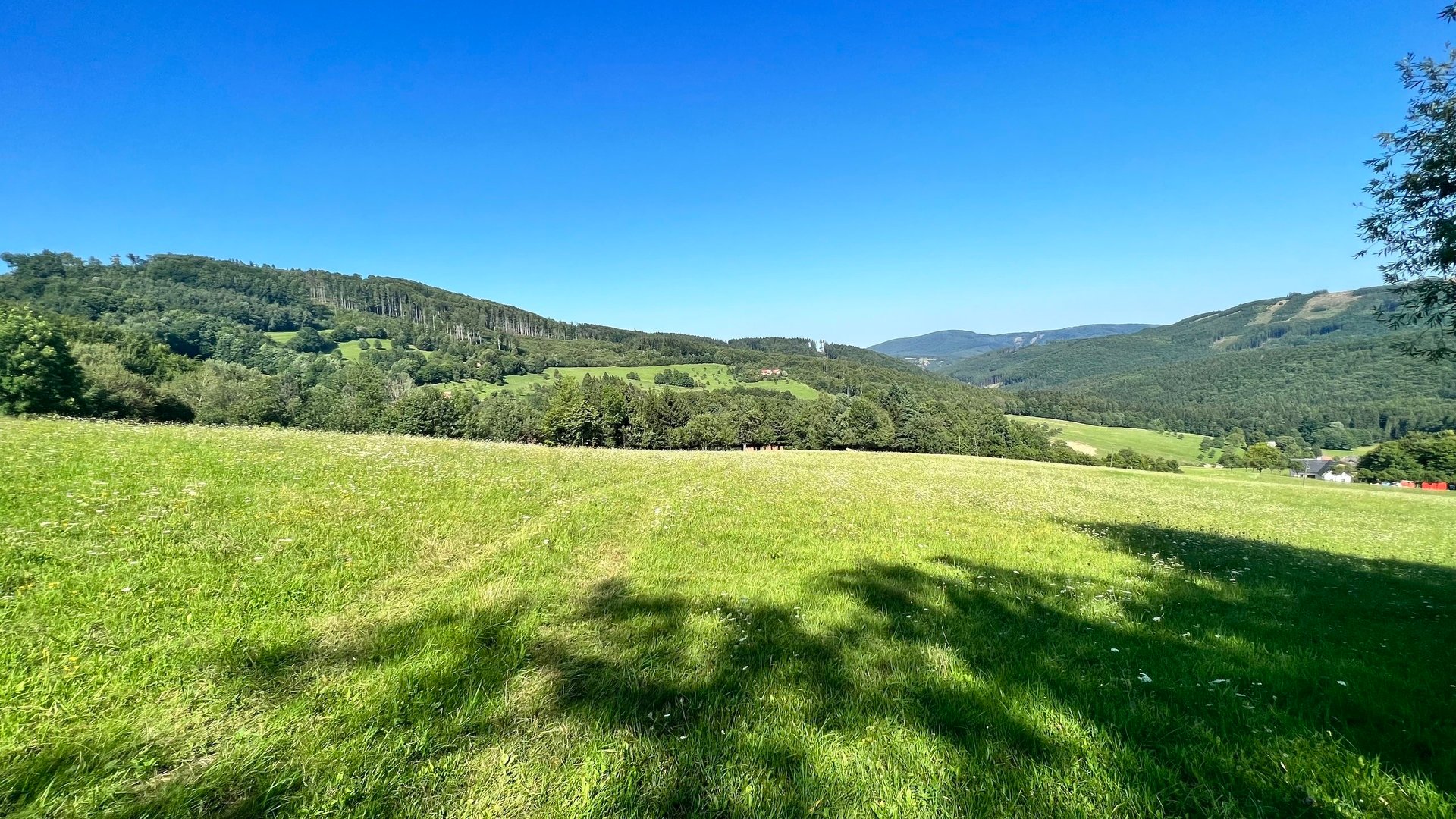 Prodej stavebního pozemku 5 950 m2, pastviny, lokalita Chmelinec, Vyškovec, Bílé Karpaty