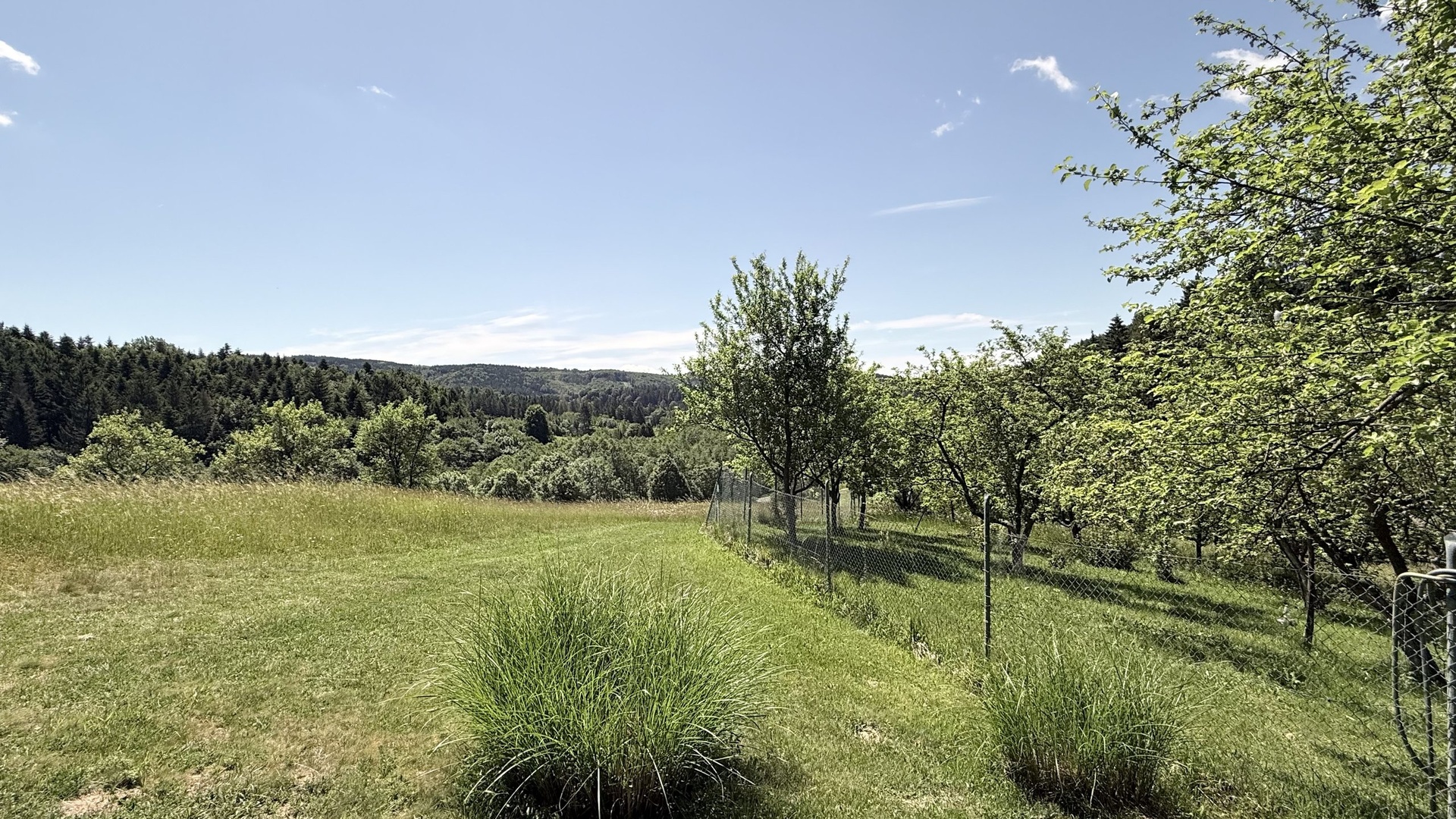 Prodej rekreační chaty 3+1, 139 m2, zahrada, terasa, garáž, Košařiška, Držková