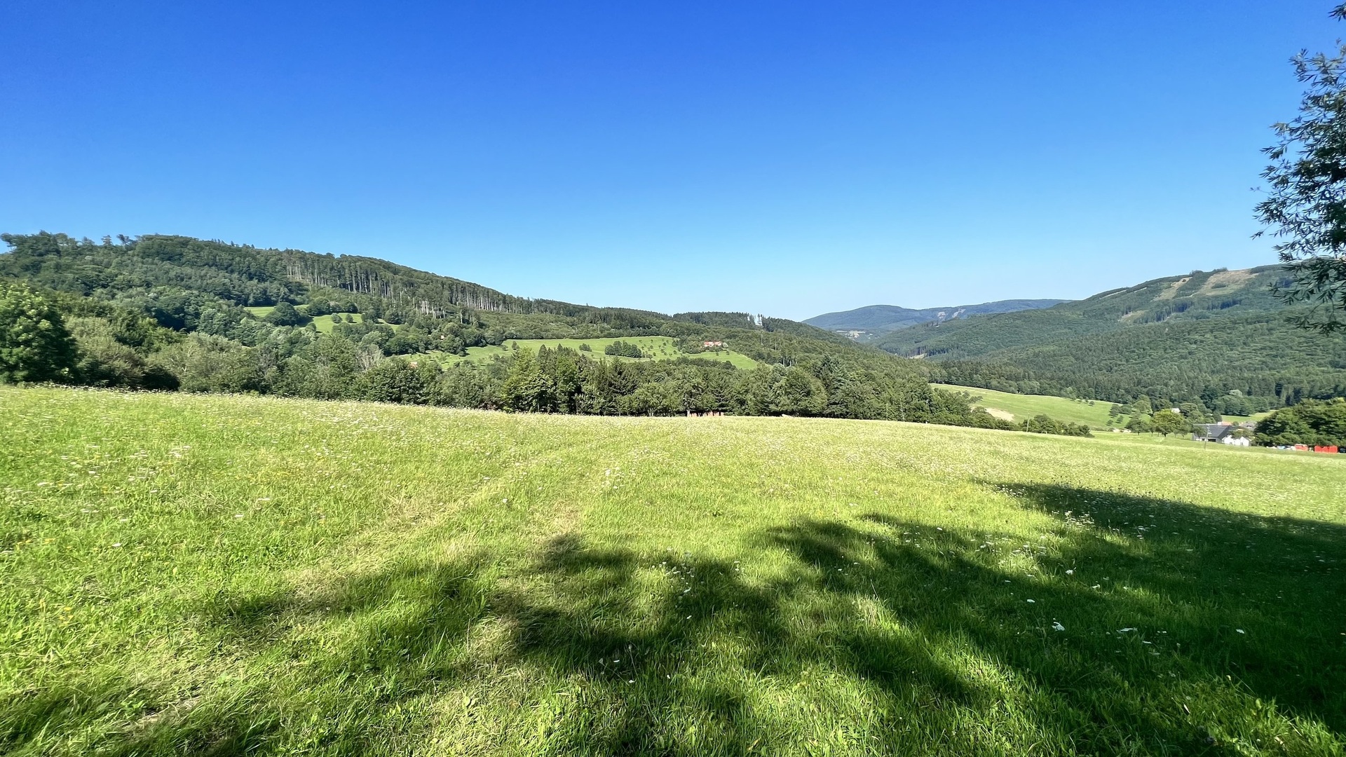 Prodej stavebního pozemku 5 950 m2, pastviny, lokalita Chmelinec, Vyškovec, Bílé Karpaty
