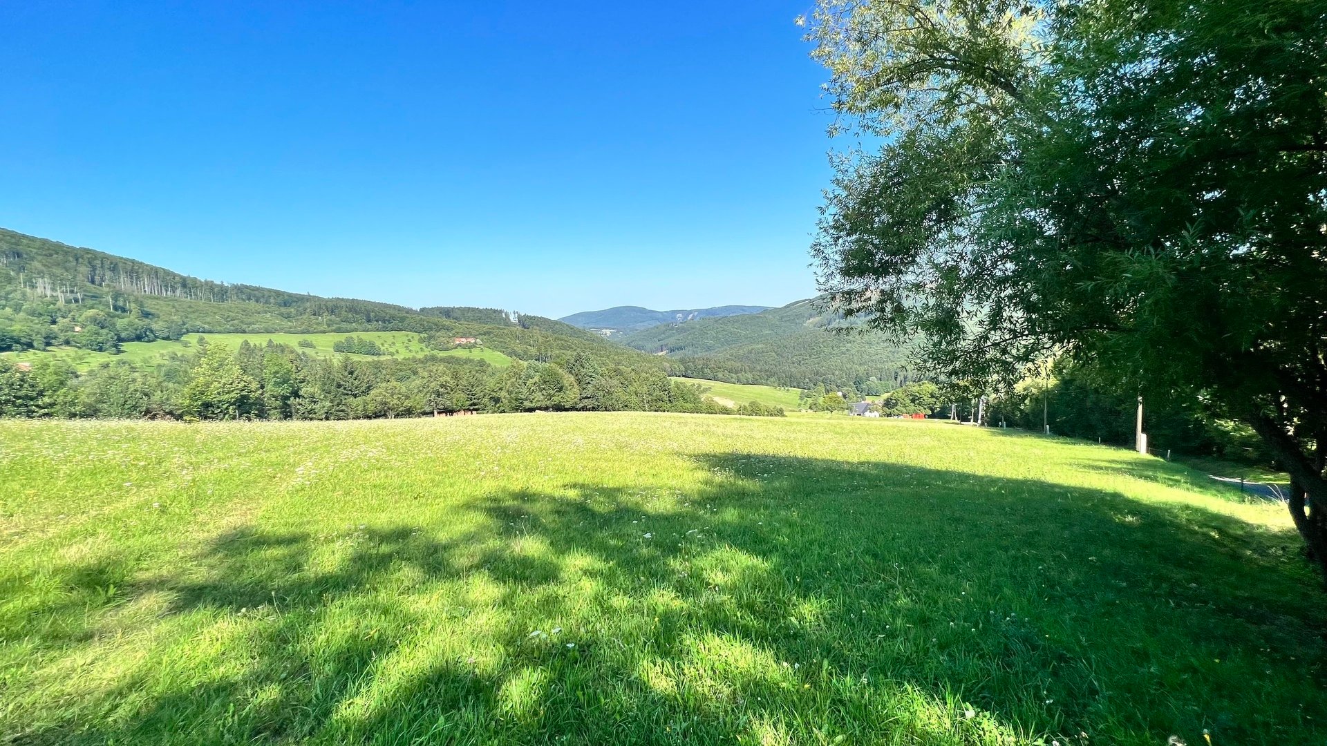 Prodej stavebního pozemku 5 950 m2, pastviny, lokalita Chmelinec, Vyškovec, Bílé Karpaty