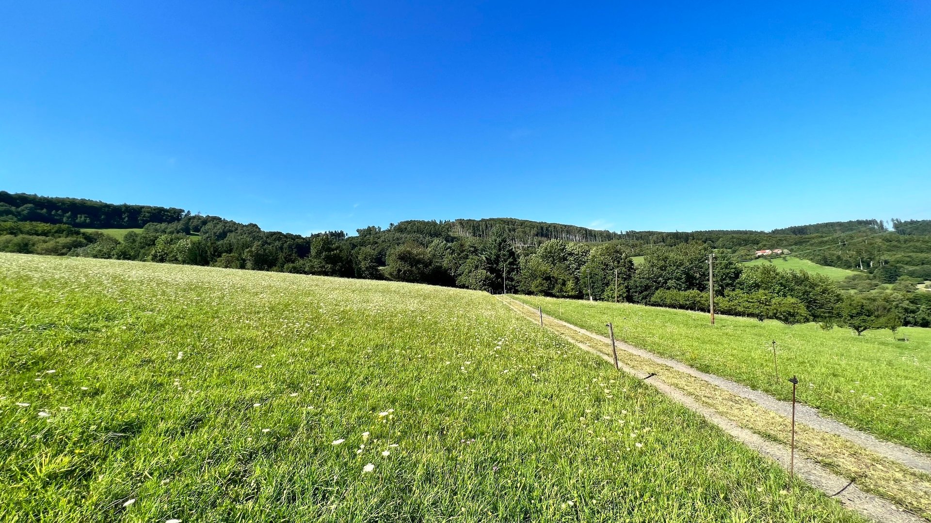 Prodej stavebního pozemku 5 950 m2, pastviny, lokalita Chmelinec, Vyškovec, Bílé Karpaty