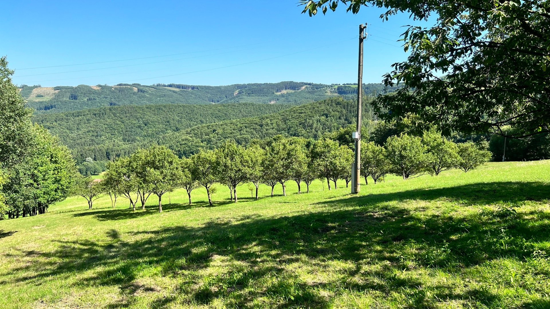 Eichner Prodej stavebního pozemku 5 950 m2, pastviny, lokalita Chmelinec, Vyškovec, Bílé Karpaty