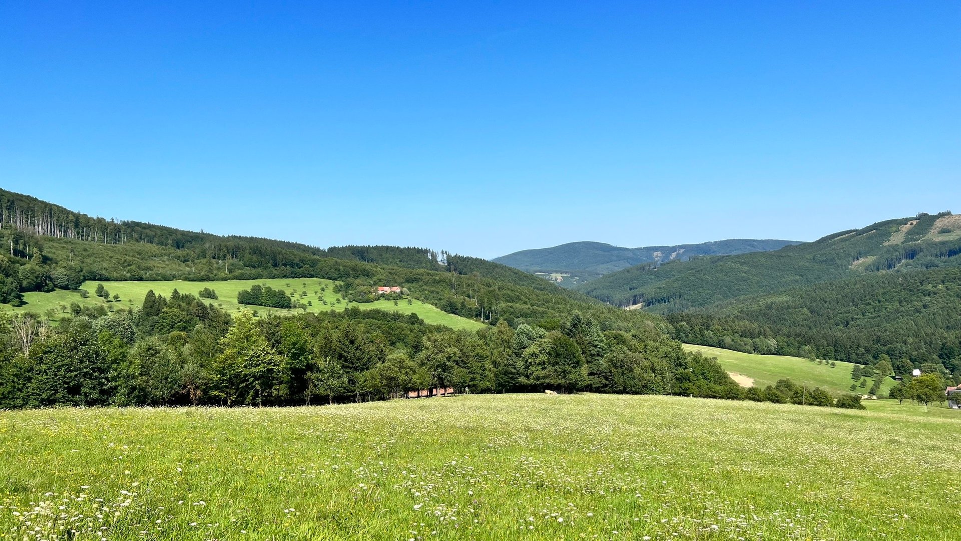 Prodej stavebního pozemku 5 950 m2, pastviny, lokalita Chmelinec, Vyškovec, Bílé Karpaty