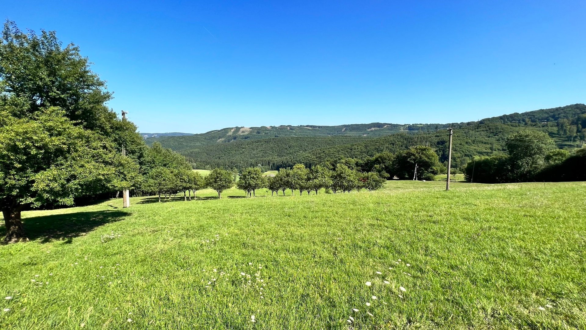 Prodej stavebního pozemku 5 950 m2, pastviny, lokalita Chmelinec, Vyškovec, Bílé Karpaty