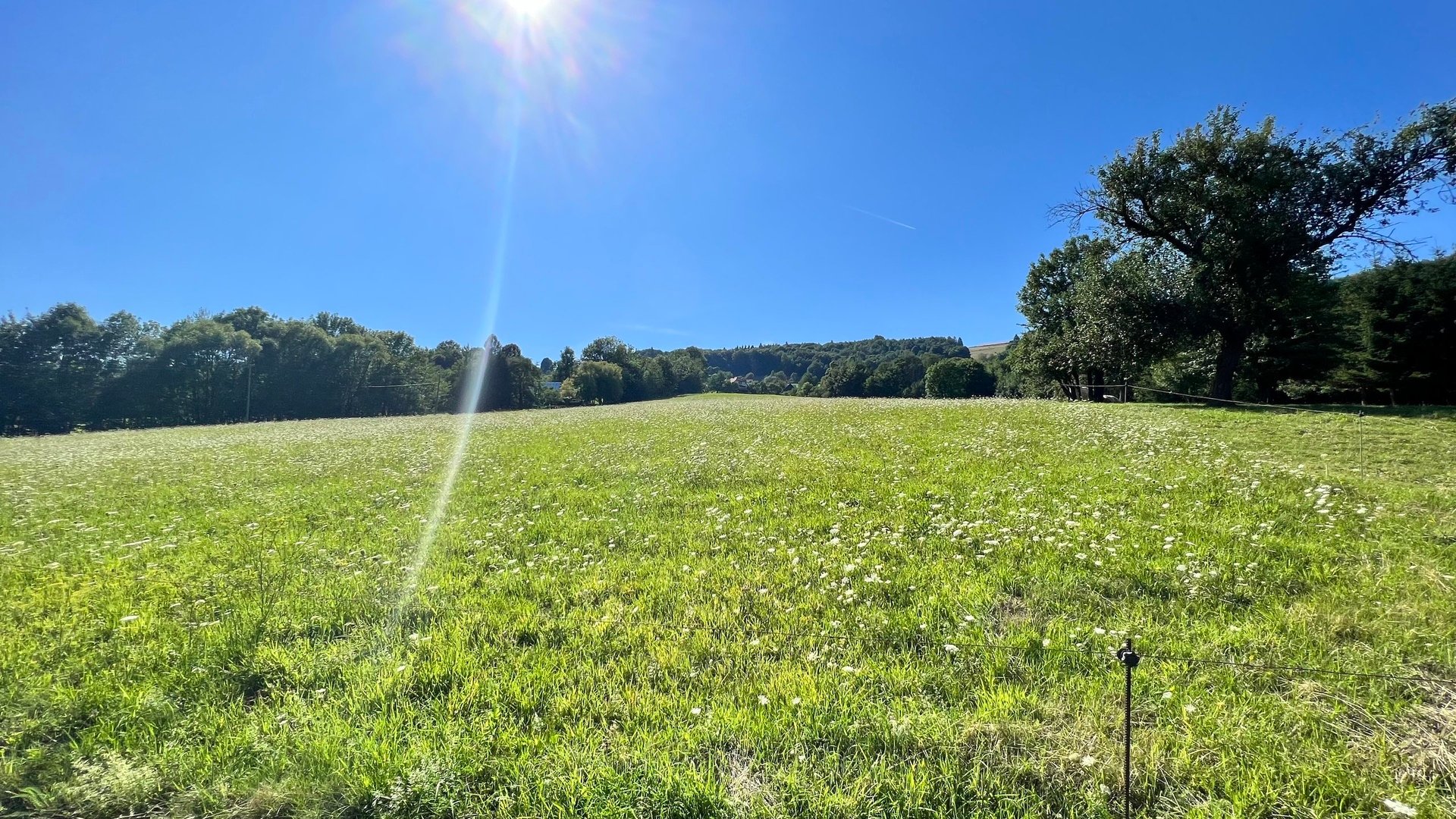 Prodej stavebního pozemku 5 950 m2, pastviny, lokalita Chmelinec, Vyškovec, Bílé Karpaty