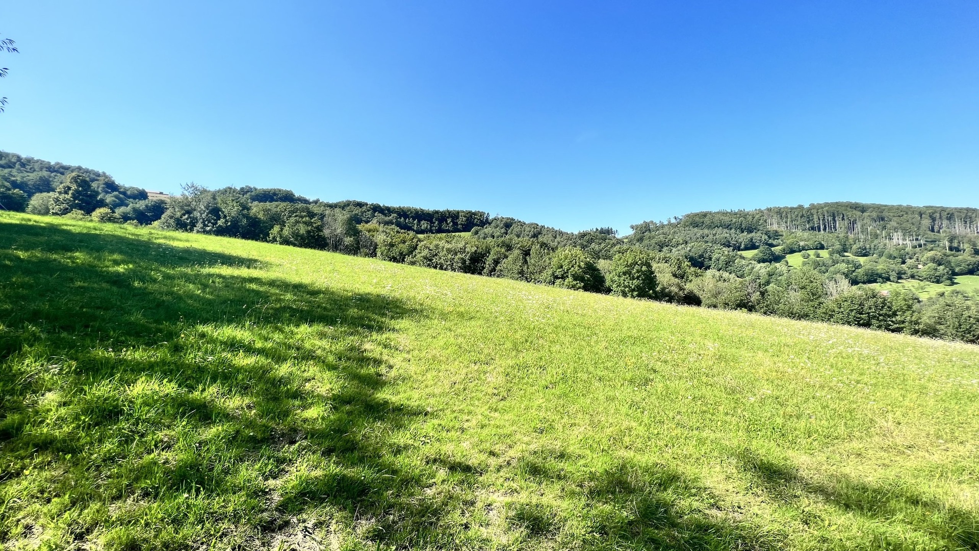 Prodej stavebního pozemku 5 950 m2, pastviny, lokalita Chmelinec, Vyškovec, Bílé Karpaty