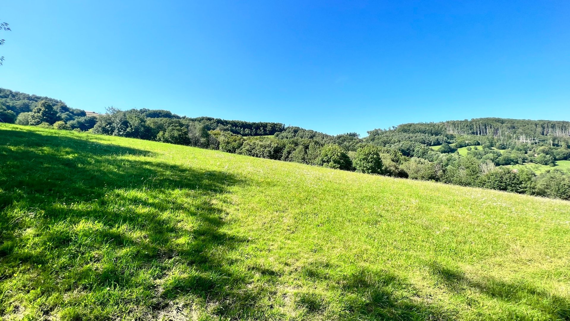 Prodej stavebního pozemku 5 950 m2, pastviny, lokalita Chmelinec, Vyškovec, Bílé Karpaty