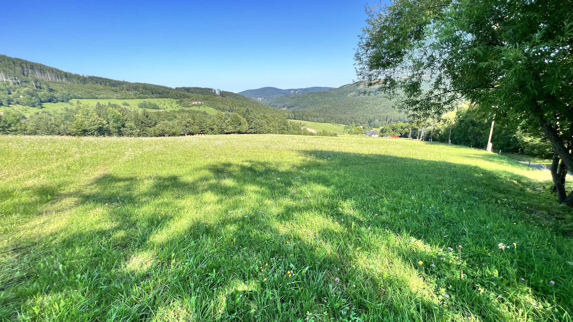 Prodej stavebního pozemku 5 950 m2, pastviny, lokalita Chmelinec, Vyškovec, Bílé Karpaty