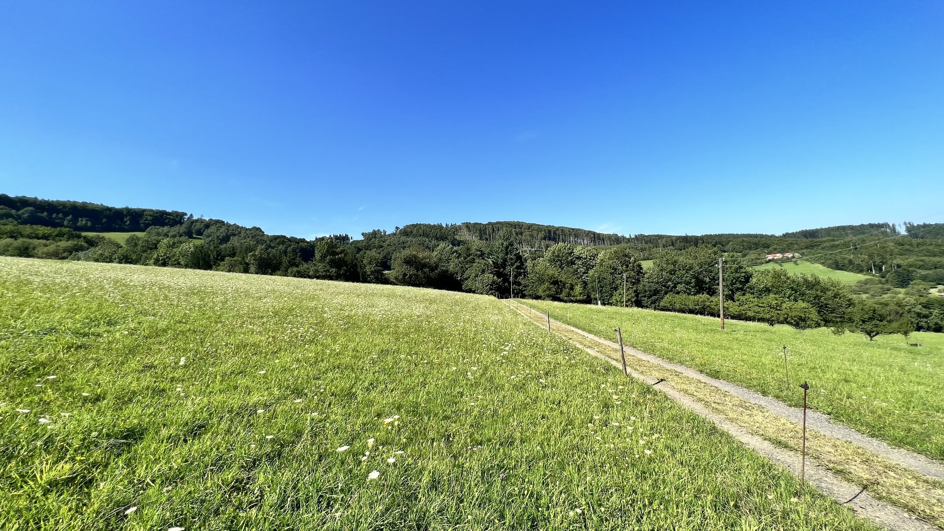 Prodej stavebního pozemku 5 950 m2, pastviny, lokalita Chmelinec, Vyškovec, Bílé Karpaty